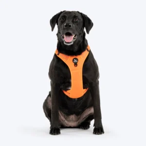 HUFT Xplorers Geschirr für Hunde - Orange